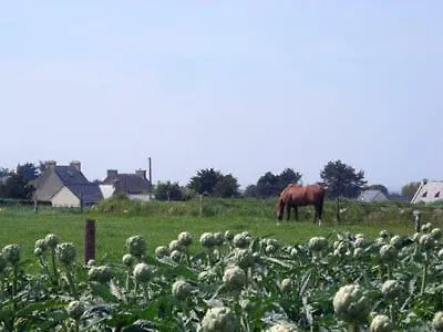 Roscoff Maison Bretagne